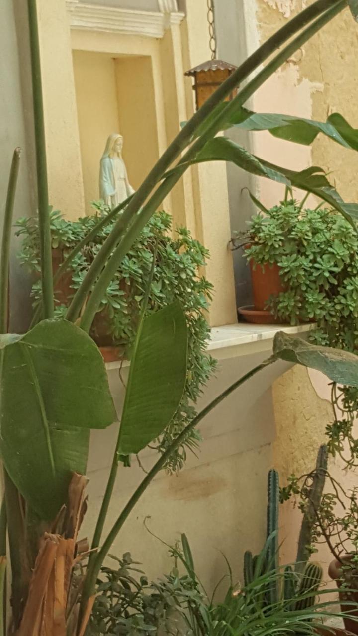 Casa Turismo "Madonna Del Paradiso" Mazara del Vallo Dış mekan fotoğraf