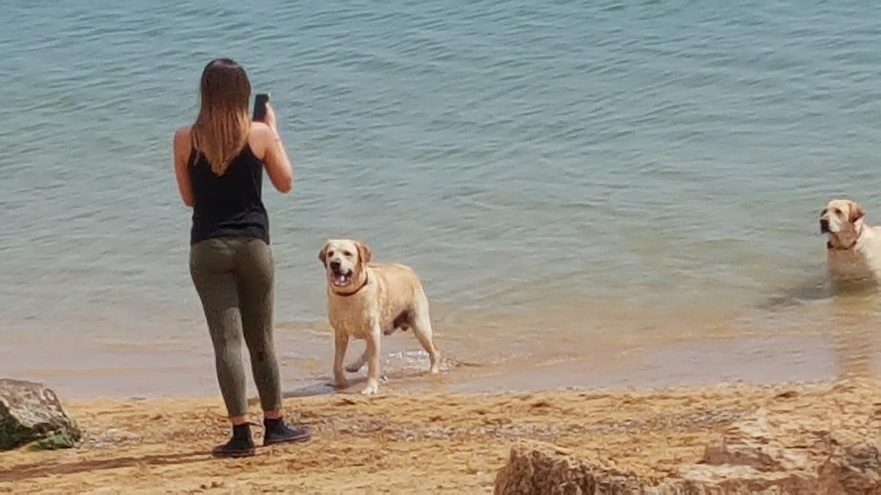 Casa Turismo "Madonna Del Paradiso" Mazara del Vallo Dış mekan fotoğraf